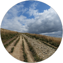 Franki F. profile picture